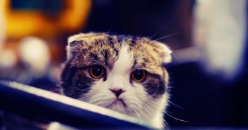 7 Infuriating Email Habits Every Office Has to Deal With