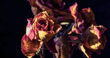 3 Signs That Your Career’s Dying and It’s Time to Change Jobs