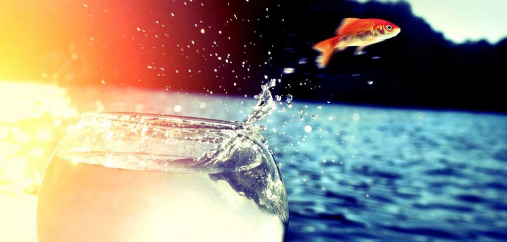 Are We In The Golden Age of Job Hopping?