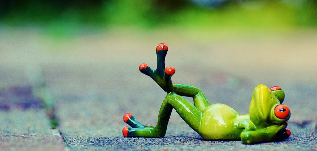 Winding Down After Work: How to Hit the Off Switch Frog relaxing and winding down after work