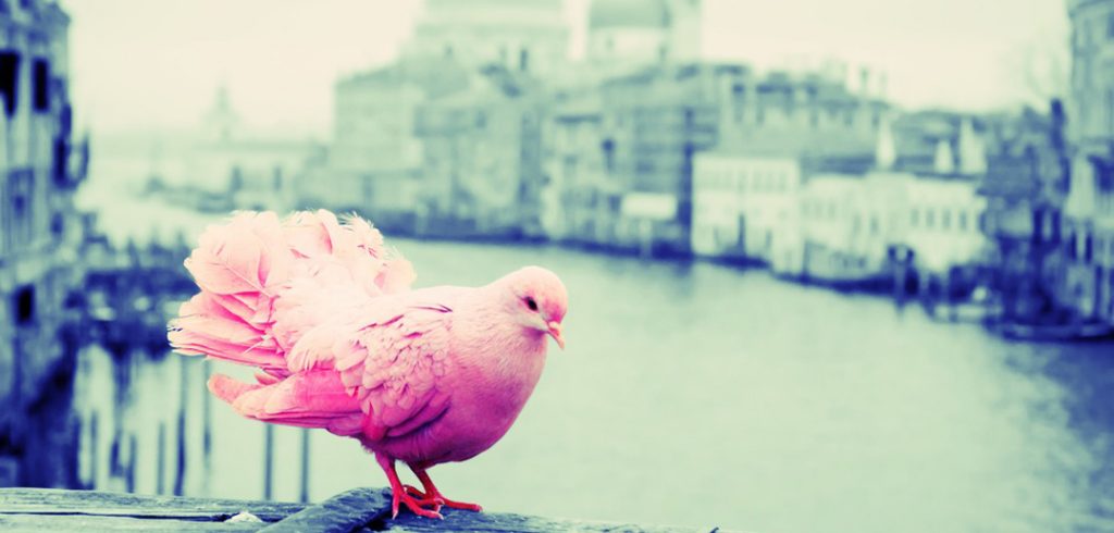 How to be a Graduate with a Difference how to be a graduate with a difference