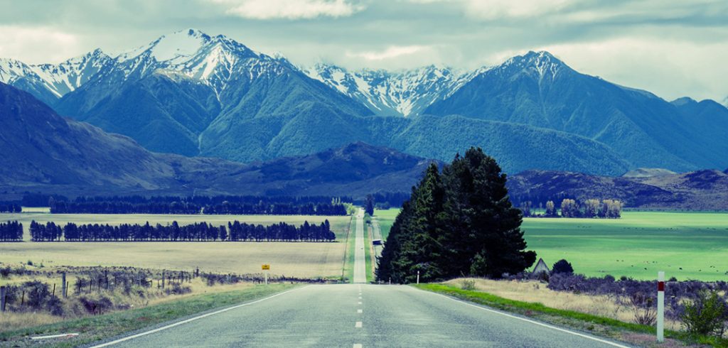 The Top 5 Skills for Success in Any Job road to success