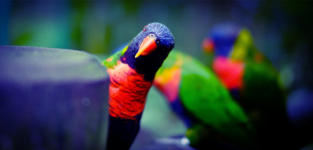 How to Answer the Difficult Questions Employees Ask difficult questions employees ask