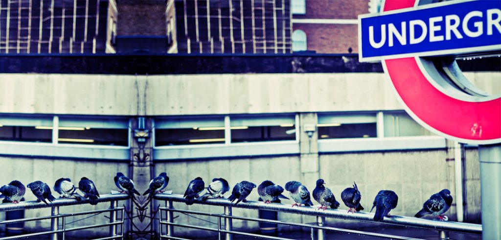 Should I work in London?