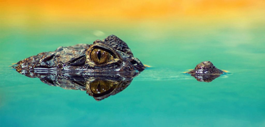 What are the Most Dangerous Jobs in the World? Most dangerous jobs