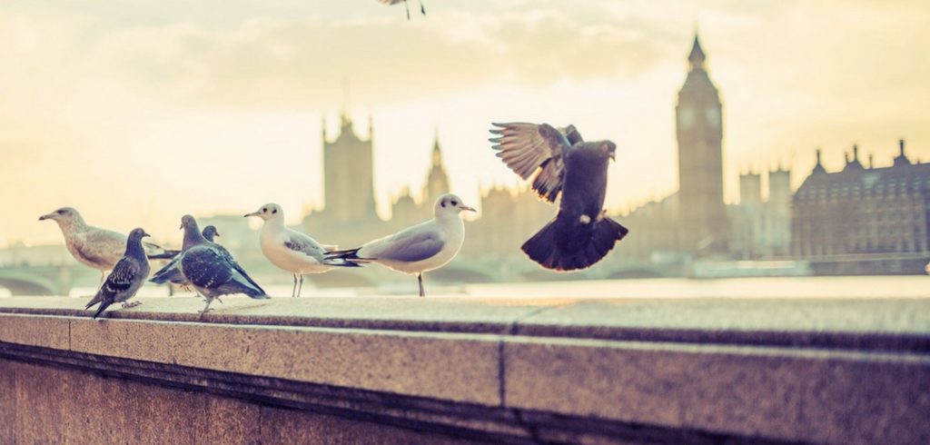 8 Tips for Job Hunting in London Job hunting in London