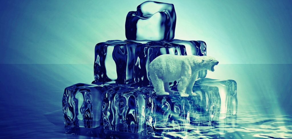 The Importance of Adaptability and Transferable Skills for Your Career Future transferable skills