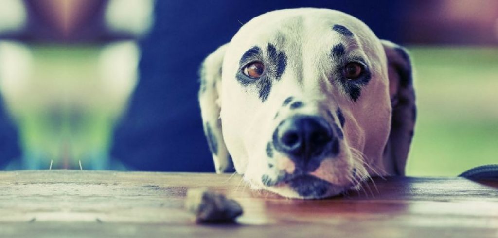 9 Job Search Actions That Make You Look Desperate