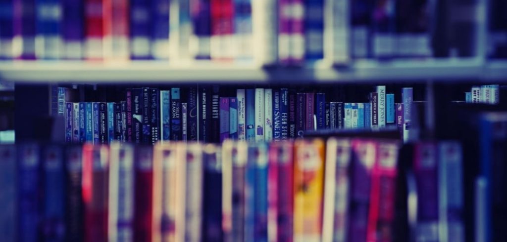 How to Become a Dutch Translator