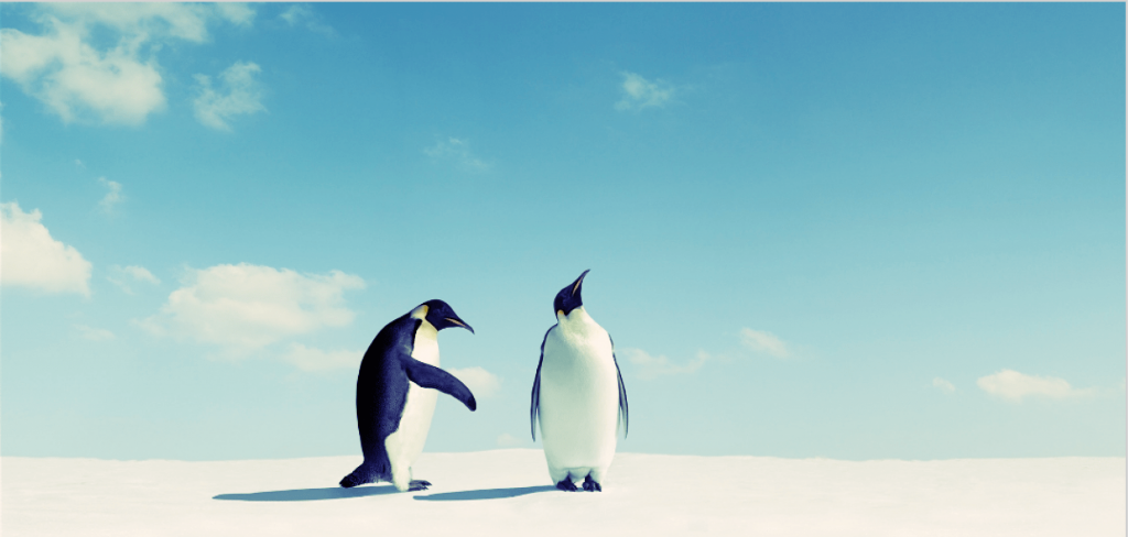 What to Do If You’re Rejected from a Job