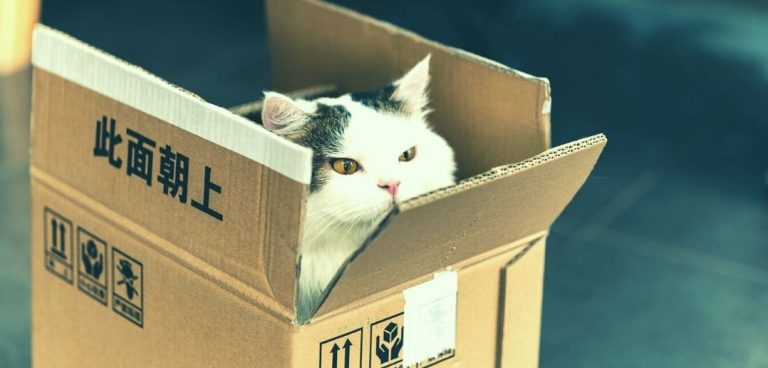 Package Matters: Learn Valuable Advice On How To Create A Perfect Design For Your Product