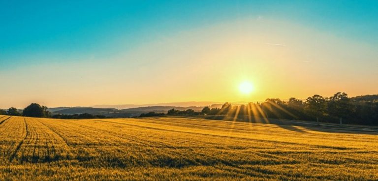 The Agricultural Industry: Effective Tips To Help You Save Time And Money