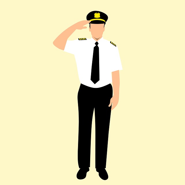 Aircraft pilot