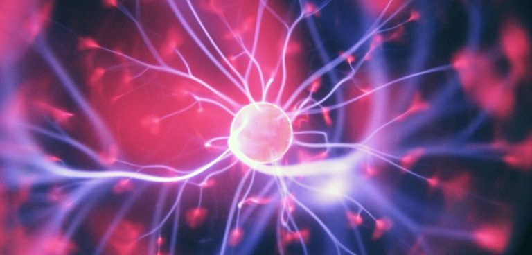 Understanding The Responsibilities Of A Life Science Consultant Understanding The Responsibilities Of A Life Science Consultant