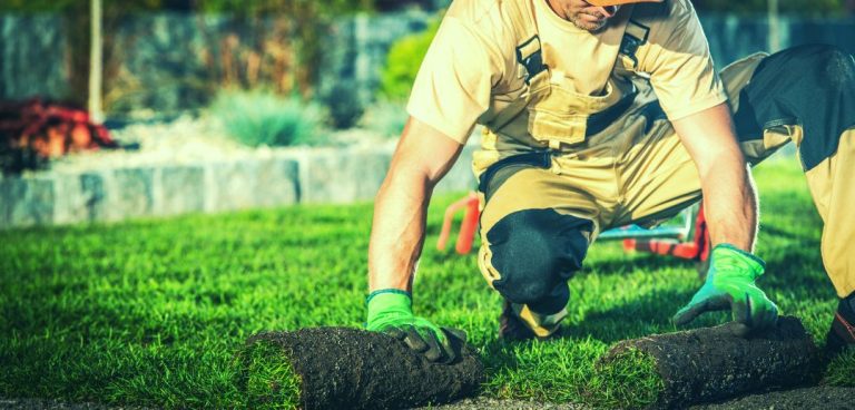 Is Landscaping the Right Profession for You