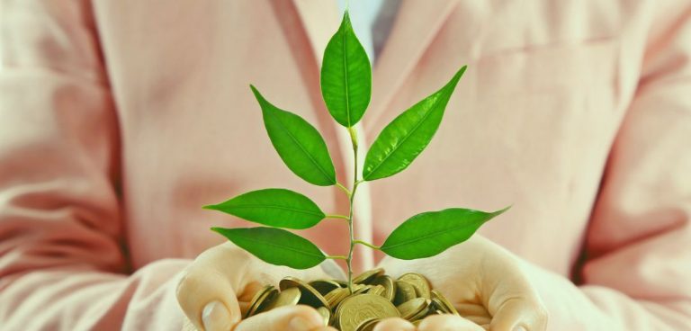 4 Tried and True Tips for Growing Your Personal Income